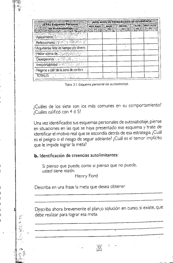 Tabla 3.1. Esquema personal de autosilbotaje.