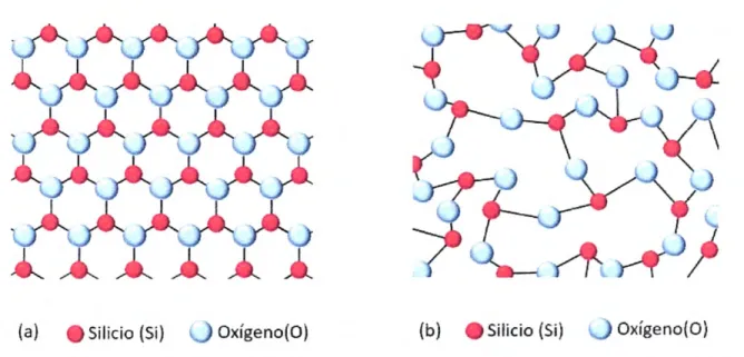 Figura 15  Representación esquemática en dos dimensiones de la estructura de: 