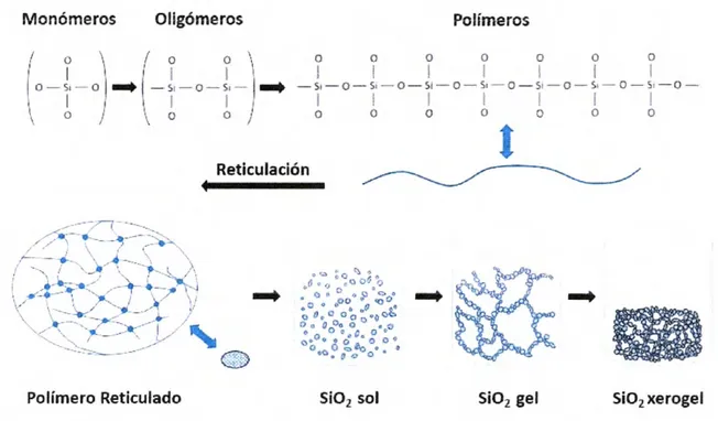 Figura 19  Diagrama esquemático de la formación de oligómeros que se unen  para formar polímeros reticulados, después coloides que constituirán un sol, un gel 