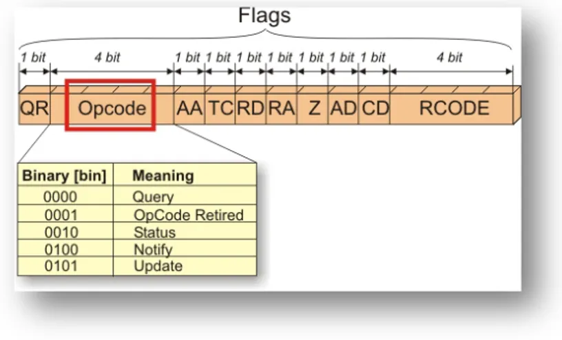 Figure 13. DNS Flags 