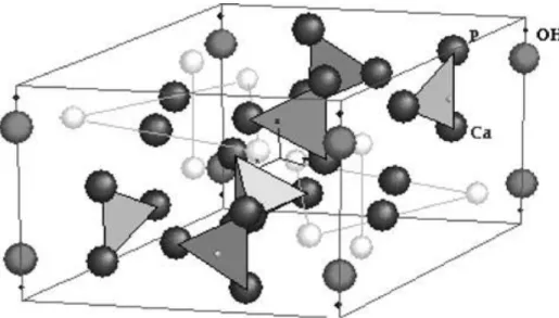Figura 1. Estructura de la Hidroxiapatita Ca10-x (HPO 4 )x(PO 4 ) 6 -x(OH) 2 -x . Departamento de  Química, Universidad del Estado de Moscú (15)