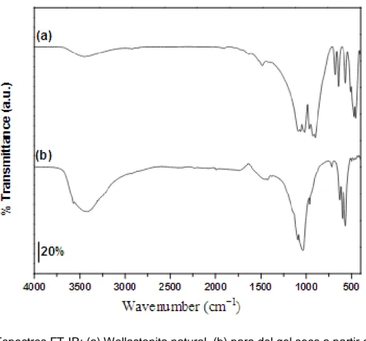 Figura 13. Espectros FT-IR: (a) Wollastonita natural, (b) para del gel seco a partir de nitrato de  calcio y fosfato de amonio inmersos en agua tratado térmicamente hasta 750°C