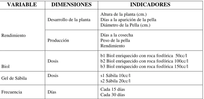 CUADRO 3.  OPERACIONALIZACIÓN DE VARIABLES 