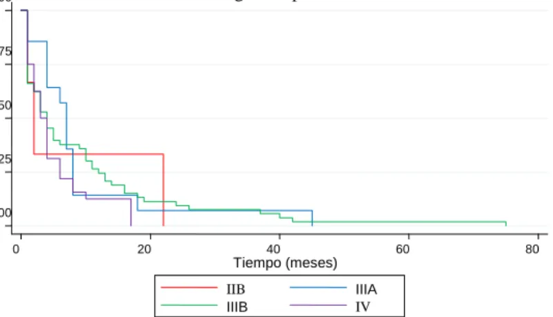 Figura 4. Sobrevida en Pacientes con Cáncer de Pulmón Según Etapa Clínica. 