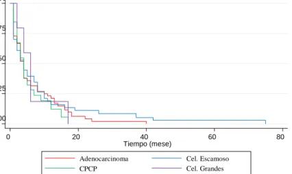 Figura 5. Sobrevida en Pacientes con Cáncer de Pulmón en el HOES 