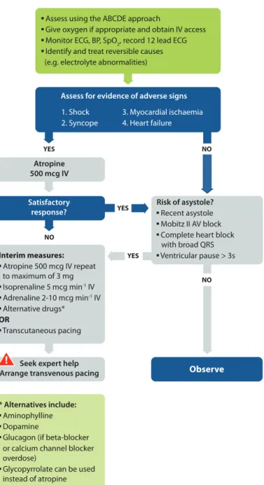 Fig. 1.9. Bradycardia algorithm. ABCDE – Airway, Breathing Circulation, Disability, Exposure; IV – intravenous; SpO 2 – oxygen saturation measured by pulse oximetry;