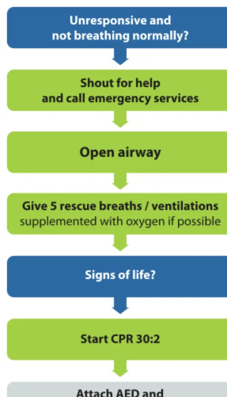 Fig. 1.13. Drowning treatment algorithm for rescuers with a duty to respond.