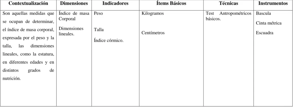 Tabla N 5: Variable independiente 