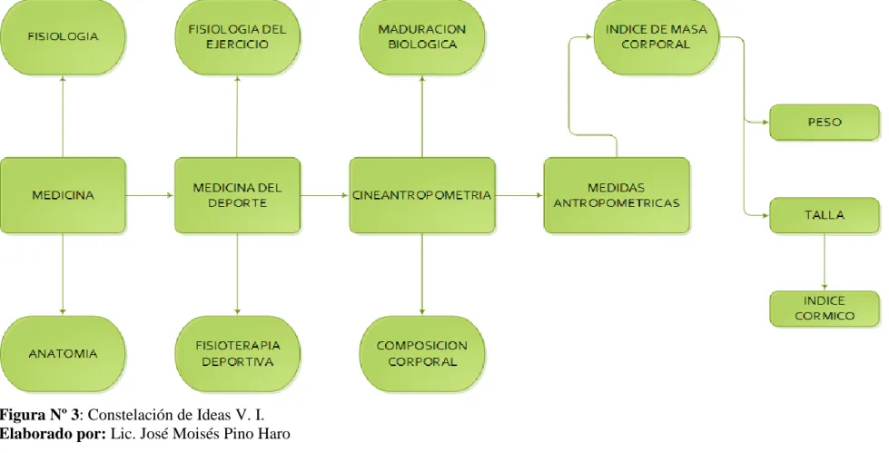 Figura Nº 3: Constelación de Ideas V. I. 