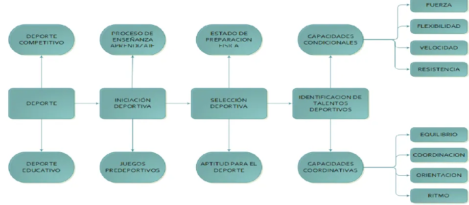 Figura Nº 4: Constelación de Ideas V. D. 