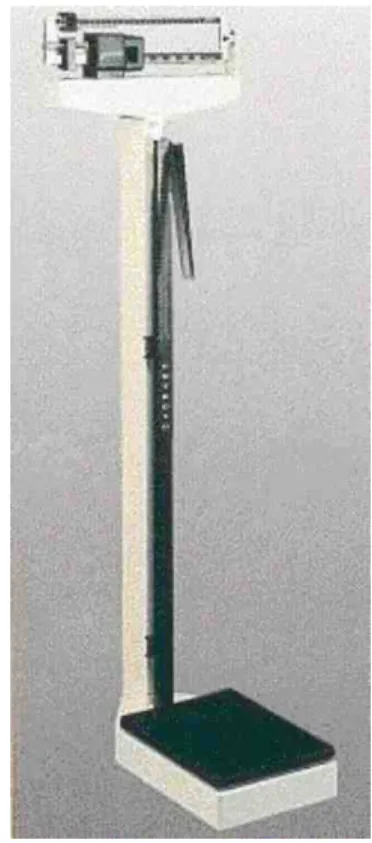 Figura 6.- Báscula electrónica