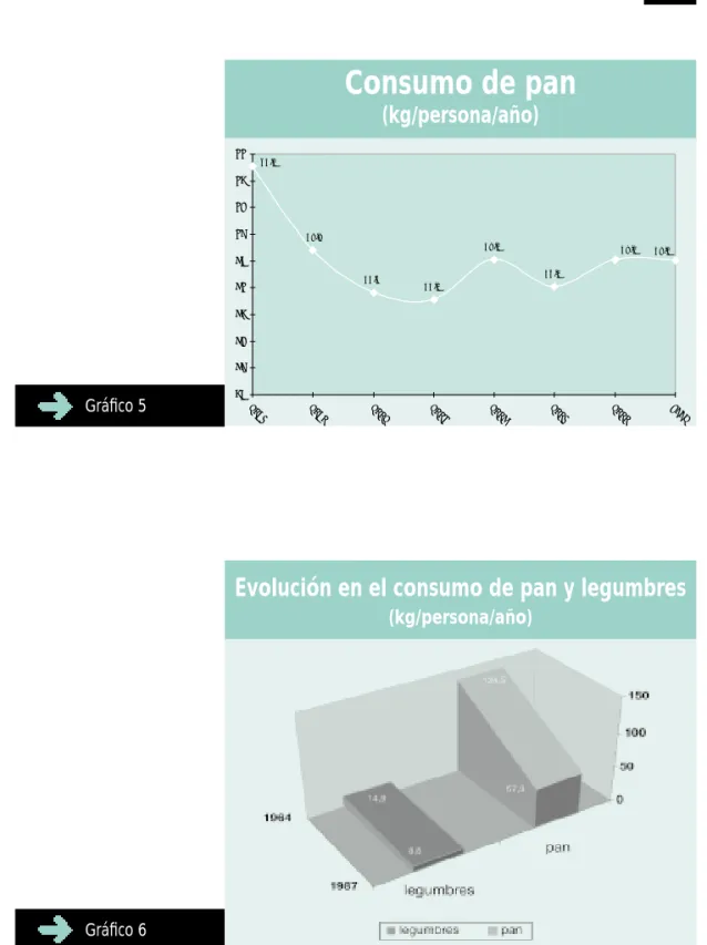 Gráfico 5