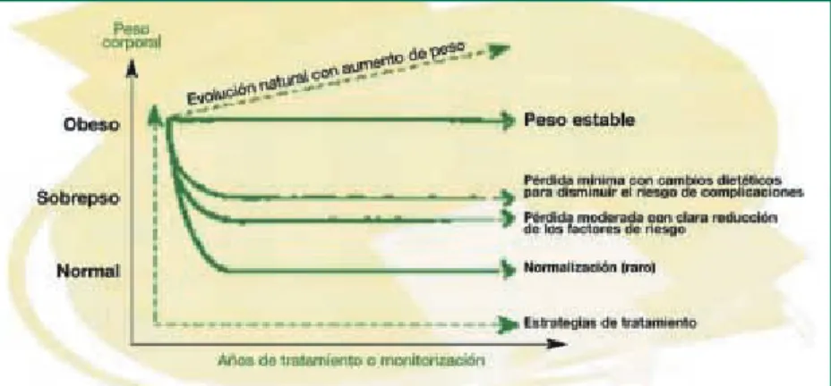 Figura 8. Tendencia de la evolución del peso corporal en función del grado de intervención.