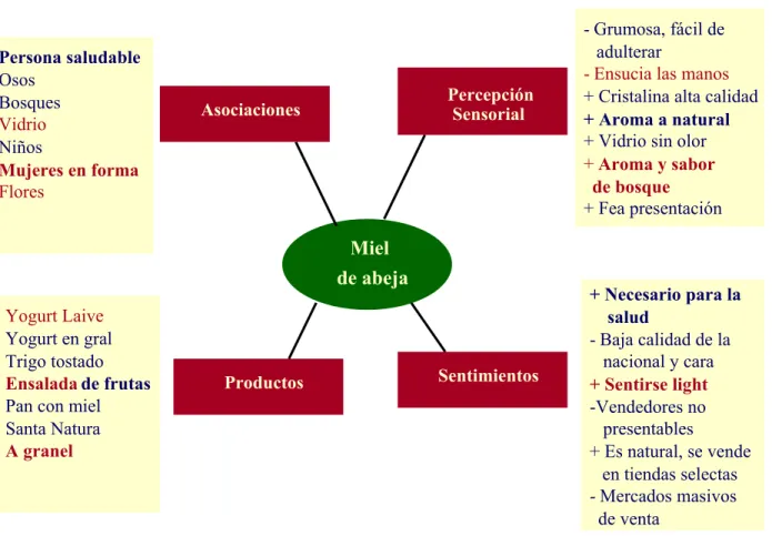 Figura 2.6. Mapa mental para focus group 