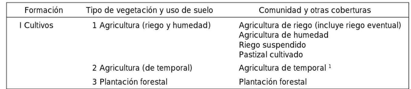 Cuadro 6.1. Leyenda jerárquica del IFN-2000 (Palacio et al., 2000)