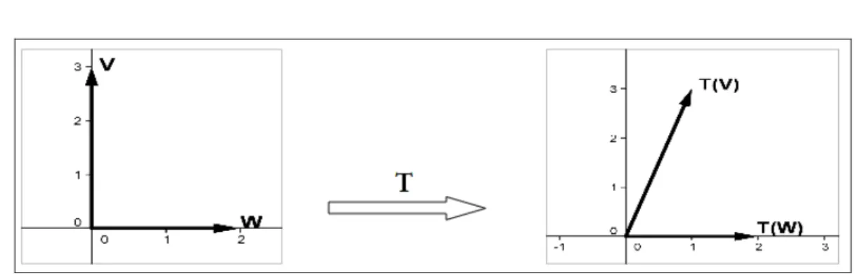 Figura 2.3: Transformación lineal que no tiene un efecto gráfico simple