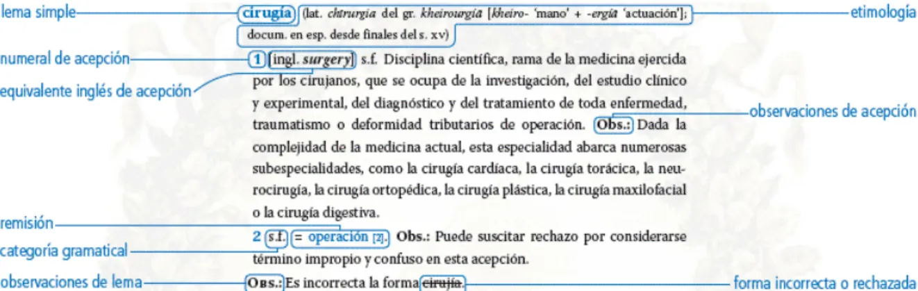 Figura 3. Estructura de un artículo del Diccionario de términos médicos, de la Real Academia Nacional  de Medicina (2015: «Organización de los artículos») 