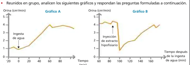 Gráfico A Gráfico B