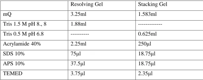 Table 2.3:  Composition of the resolving and stacking gel in a gel 12%T. 
