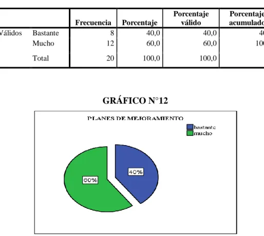 CUADRO N°10 PLANES DE MEJORAMIENTO 