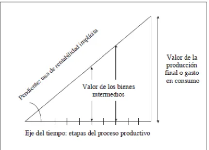 Gráfico 3. Triángulo de Hayek 