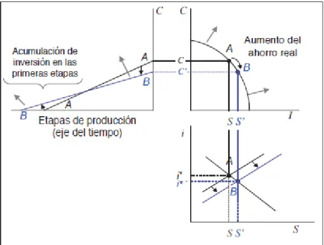 Gráfico 4. Desarrollo triángulo de Hayek 