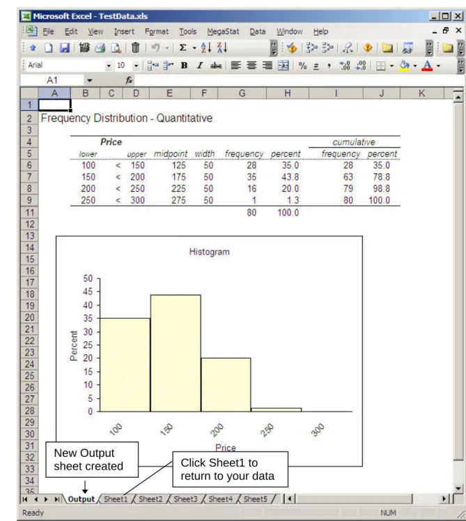 Figure 7. MegaStat Output sheet 