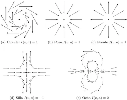 Figura 8: Singularidades de campos en superficies