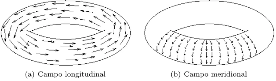 Figura 5: Campos vectoriales en el toro