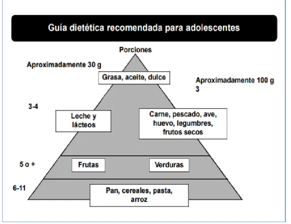 Figura 2: guía dietética para adolescentes. 