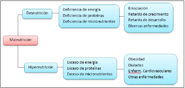 Ilustración 4: Formas de Malnutrición 