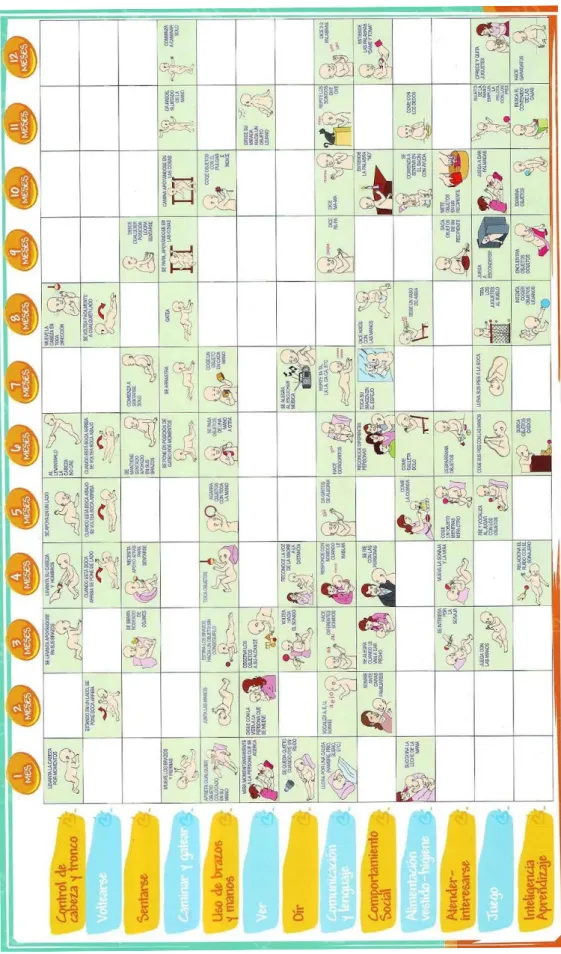 CUADRO DE DESARROLLO DEL NIÑO  