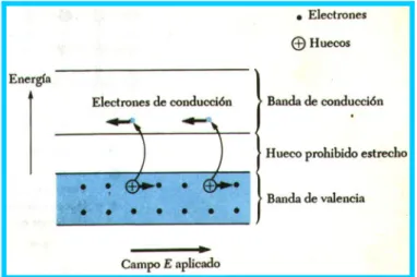 Figura 10.1 Figura 10.2