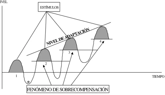 Fig. 9. Fenómeno de supercompensación o sobrecompensación. 