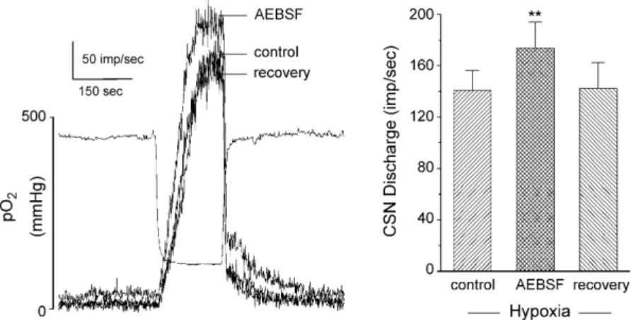 Fig. 5. Effect of specific Nox inhibitor, AEBSF (3 mM) on rat carotid sinus nerve (CSN) activity evoked by acute hypoxia