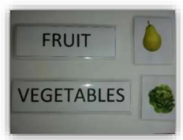 Figure 1. Flashcards