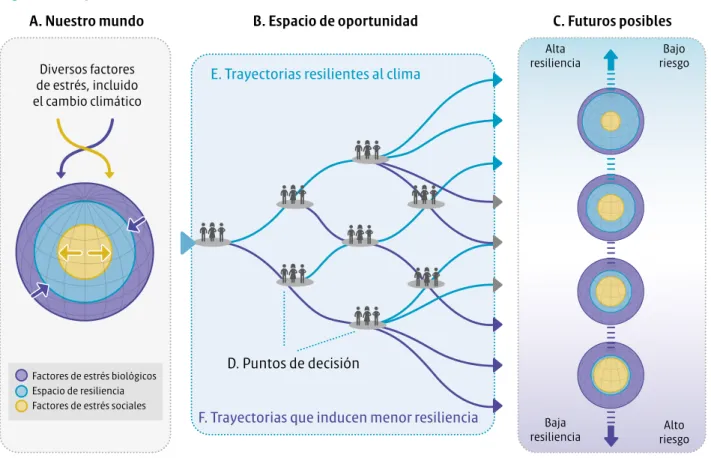 Figura 2.  Esquema de sendas del desarrollo resilientes al clima