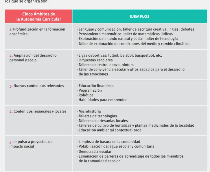 CuAdro 4. AUTOnOMíA CURRICULAR En LA EDUCACIón báSICA