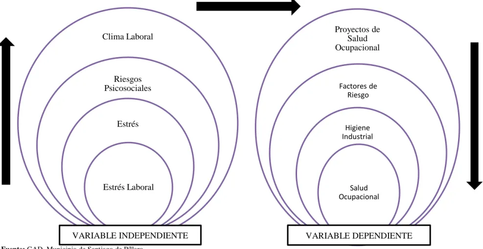 Gráfico 2 : Categorías Fundamentales
