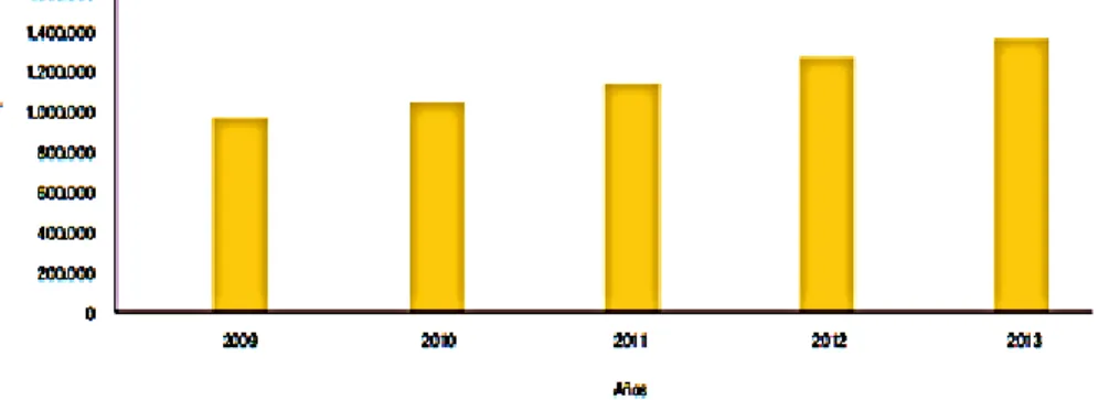 Gráfico N° 2 