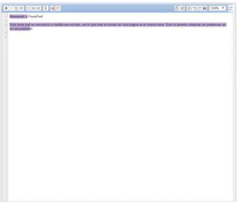 Figura 9: Documento colaborativo. 