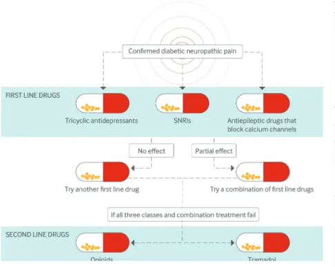 Fig 2 |  Algorithm for the treatment of painful diabetic neuropathy including first and second line  treatments