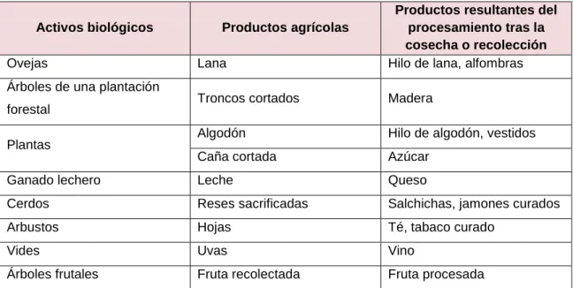 Tabla 2. Activos Biológicos 