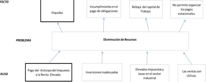 Gráfico 4 Árbol de Problemas 