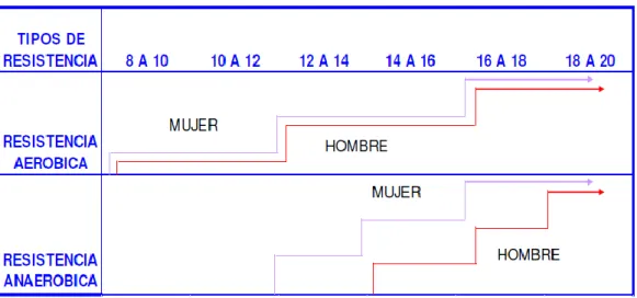Tabla extraída a partir de (Fonseca Camelo, 2006) 