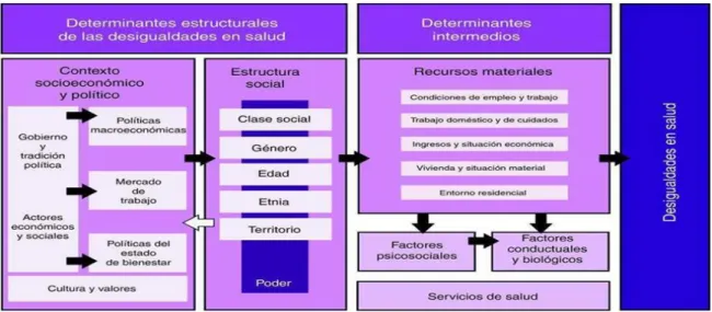 Tabla 2: Determinantes de las desigualdades en salud. 