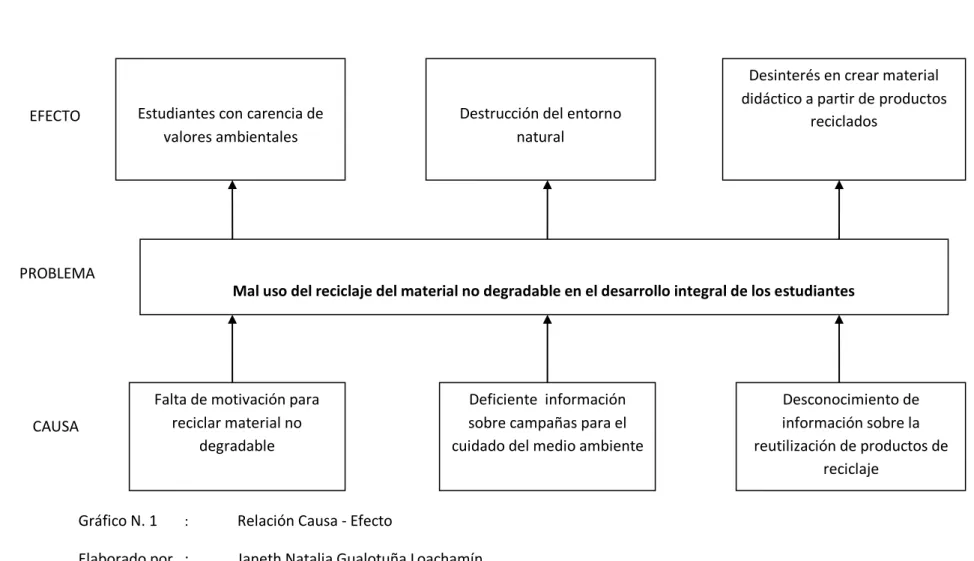 Gráfico N. 1    :    Relación Causa - Efecto 