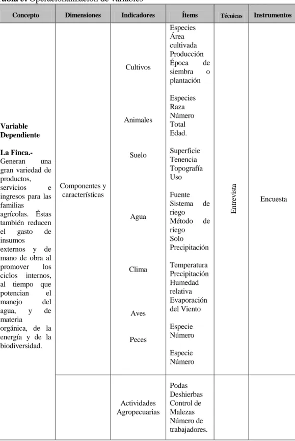 Tabla 5. Operacionalización de variables 