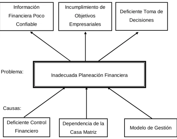 FIGURA 1. Árbol de Problemas 