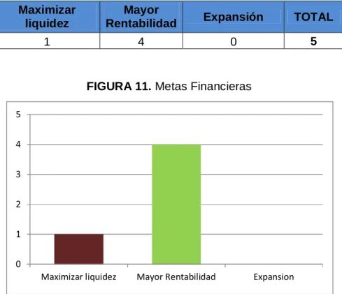 FIGURA 11. Metas Financieras 